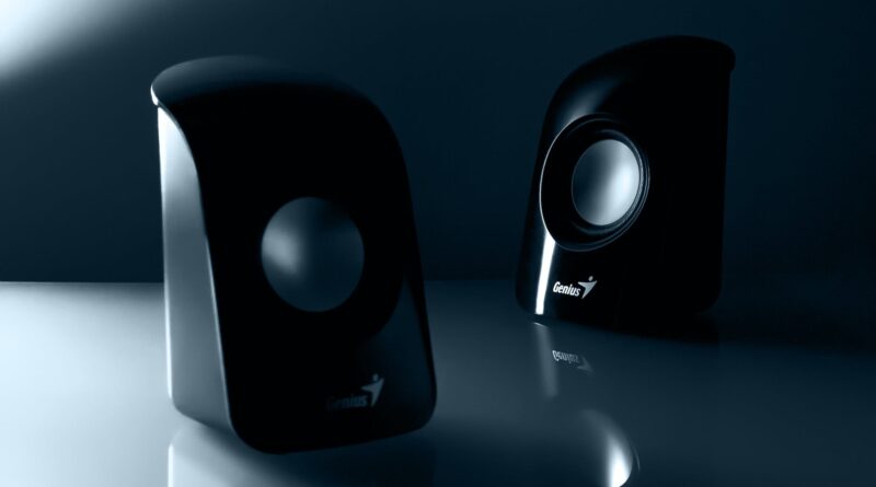 genius black multimedia speaker